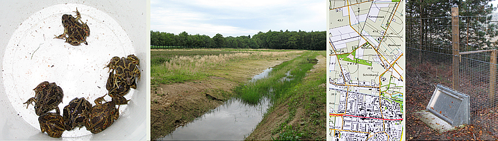 Wet natuurbescherming en soortenbescherming