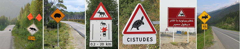 Natuur en infrastructuur