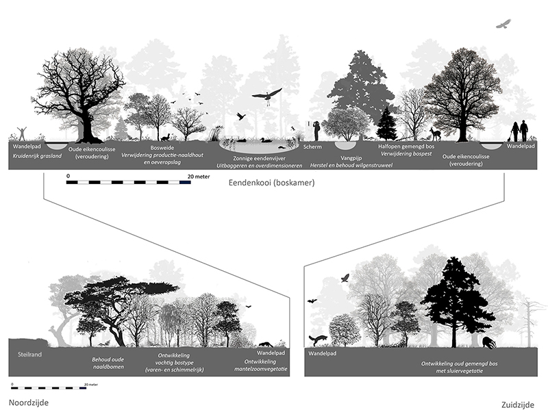 Landschapsprofiel eendenkooi Oostermaet