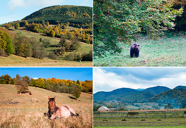 Landschap en biodiversiteit