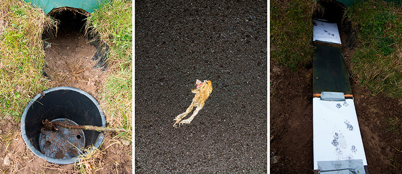 Onderzoek fauna voorzieningen