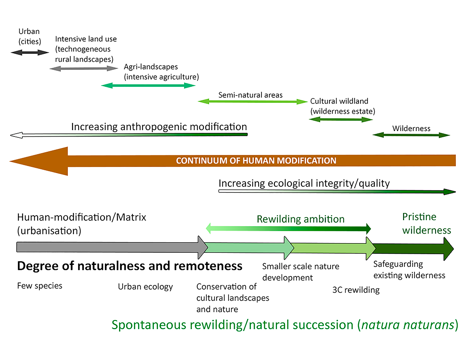 Rewilding